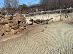 -西安秦岭野生动物园