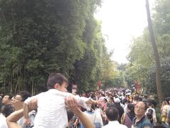 -邓小平故里