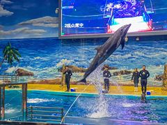 -福州罗源湾海洋世界旅游区