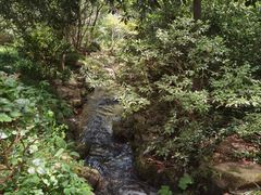 -中国茶叶博物馆(双峰馆区)