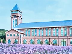 -龙口南山旅游景区