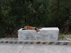 -北京十三陵国家森林公园蟒山景区