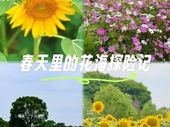 -上海杨姆庄园