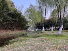 -滨湖塘西河公园