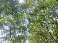 -成都南湖公园
