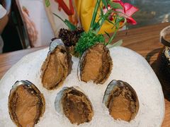 手工冷制鲍鱼-木棉·醉心粤味(COCO Park店)