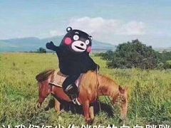 -绿丰园农家菜(南北大厦店)