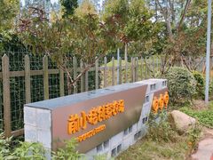 -前小桔亲子创意农场·草莓采摘·露营烧烤