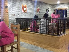 -绿岛汤泉韩式休闲会所