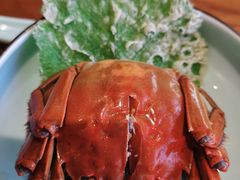 -鑫震源·苏式大虾生煎(山塘街店)