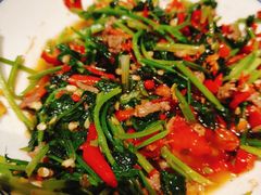 -壹盏灯(惠农店)