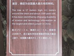 -云中大漈