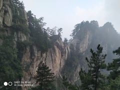 -内乡宝天曼生态旅游区