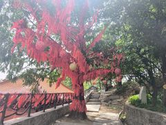 -沂蒙山旅游区云蒙景区(蒙山国家森林公园)