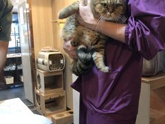-宠爱国际动物医院·消化内科·心肾内科·ISFM猫友好(望京店)