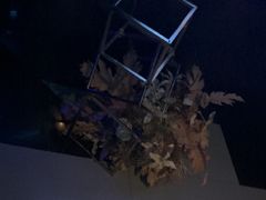 -黑桃K生日订制KTV