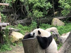 -宁波野生动物园