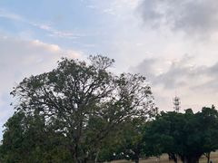 -东莞植物园