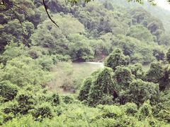 -广西龙虎山风景区