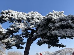 -妙峰山风景名胜区