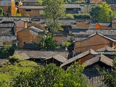 -杨家堂村