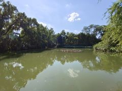 -北京动物园-畅观楼