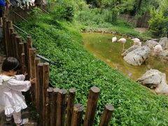 -昆明动物园