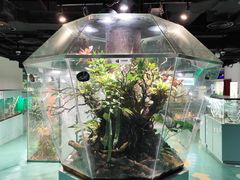 -上海大自然野生昆虫馆(东方明珠·爬宠昆虫探索中心)