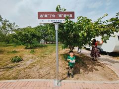 -御林古桑园