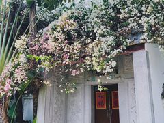 -深圳国际园林花卉博览园