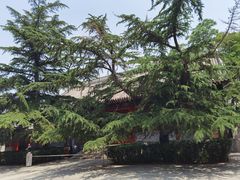 -北京艺术博物馆(万寿寺)