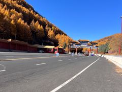 -塞罕坝国家级自然保护区