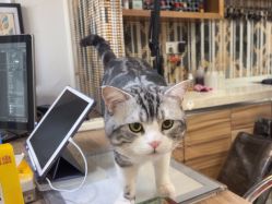 -长沙纹身·龙堂刺青·三土师傅的店