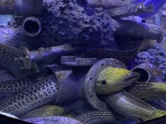 -成都浩海立方海洋公园