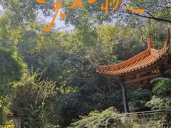 -广州兰圃