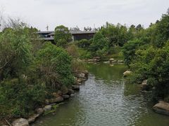 -八大山人梅湖景区