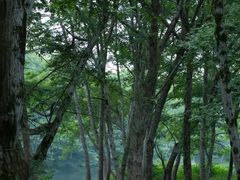 -西溪南古村落景区