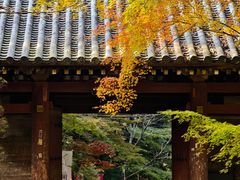 -醍醐寺