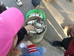 -大湾区中央湿地公园-十九涌