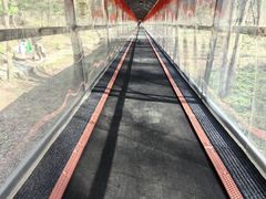 -香炉山国家森林公园