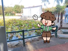 -黛秀湖公园