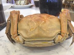 -蟹天蟹地农家菜·阳澄湖大闸蟹(浅水湾店)