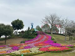 -东莞植物园
