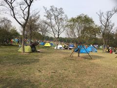 -吴淞炮台湾湿地森林公园烧烤区