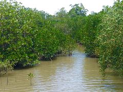 -东寨港红树林旅游区