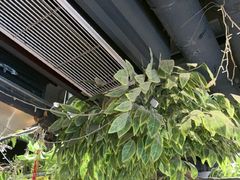 -城墙拐拐火锅(三峡广场黑金冠店)