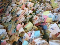 -七七家的糖水店(南湾街1号店)