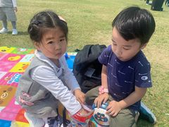 -春花秋色城市公园