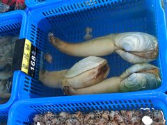 -七鲜渔港美食餐厅(巽寮湾海景店)