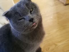 -萌喵咖啡屋(人民东路4号口M16商铺店)
